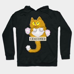 funny cat Hoodie